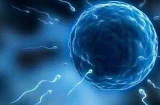 菏泽试管婴儿成的概率有多少？这些问题要提前了解！