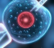 移植囊胚着床后第12天姨妈感强烈正常吗？