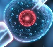 47岁高龄产妇做试管婴儿可以生下孩子吗？靠谱吗？