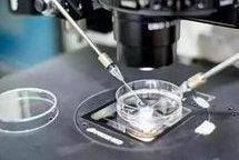 北京三代试管婴儿费用是多少？附影响北京试管婴儿费用的因素！