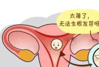 河北第二代试管婴儿费用明细是怎么样的？详细解读