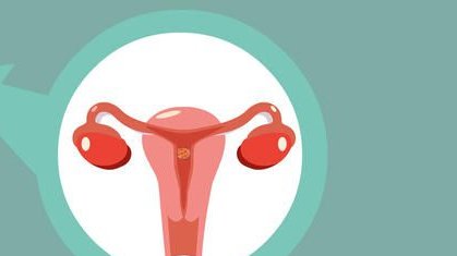 2026哈医大和沈阳菁华试管婴儿哪个好？一次试管成功率高吗