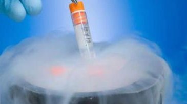 长沙免费试管婴儿政策是真的吗？